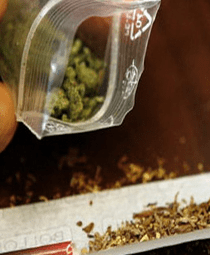 Купить спайс марихуану высадка семян конопли в грунт
