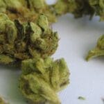 как бросить курить марихуану?