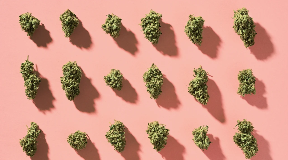 Фактори, що впливають на виведення наркотиків Фактори, що впливають на виведення наркотиків