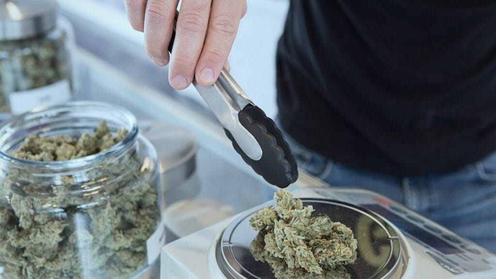 Медична марихуана: за і проти