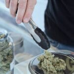 Медицинская марихуана: за и против